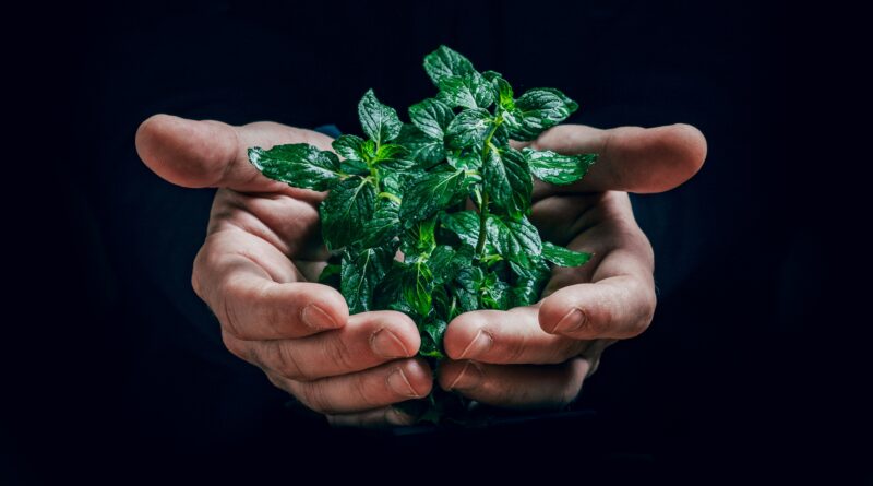 Jak oszczędzać zasoby naturalne?