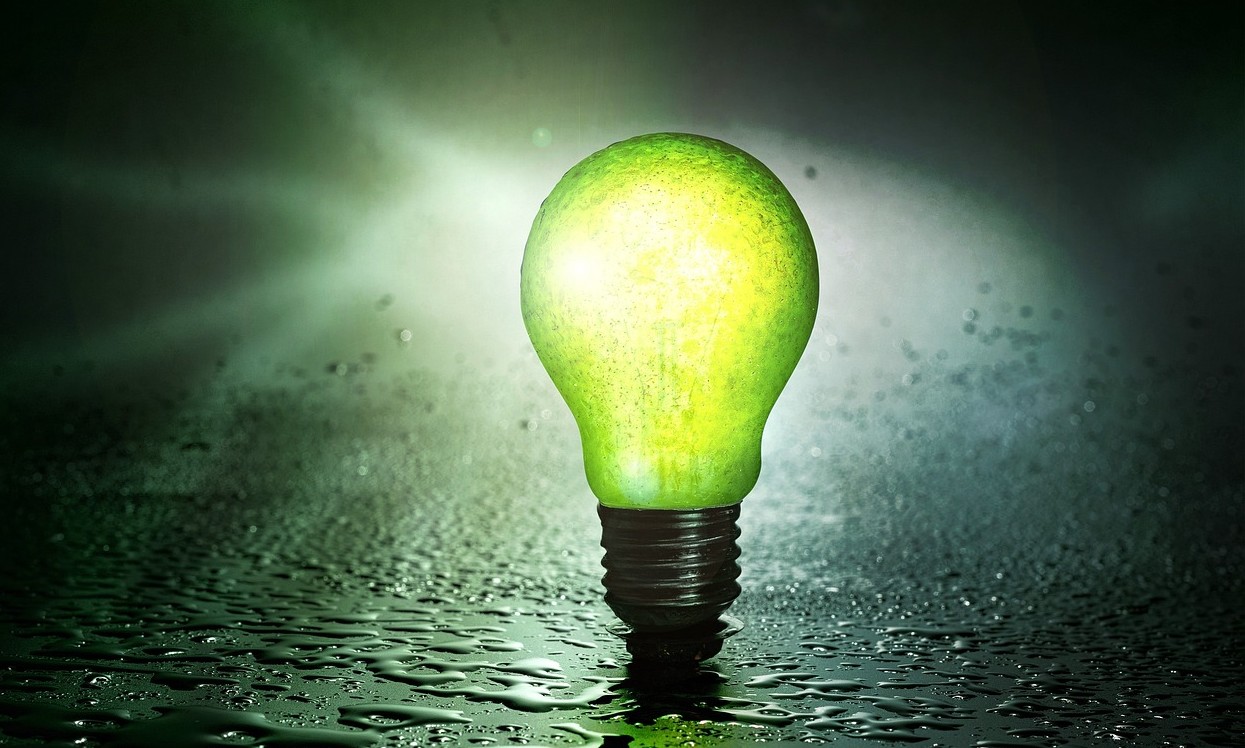 Czy gospodarka oparta na surowcach odnawialnych jest możliwa?